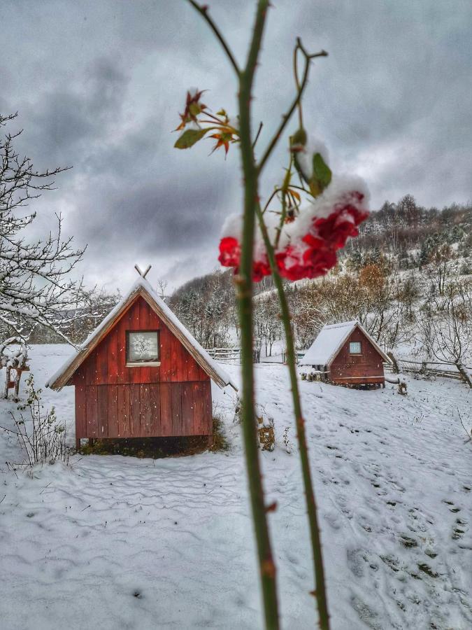 Log Cabin Uvac Нова-Варош Екстер'єр фото