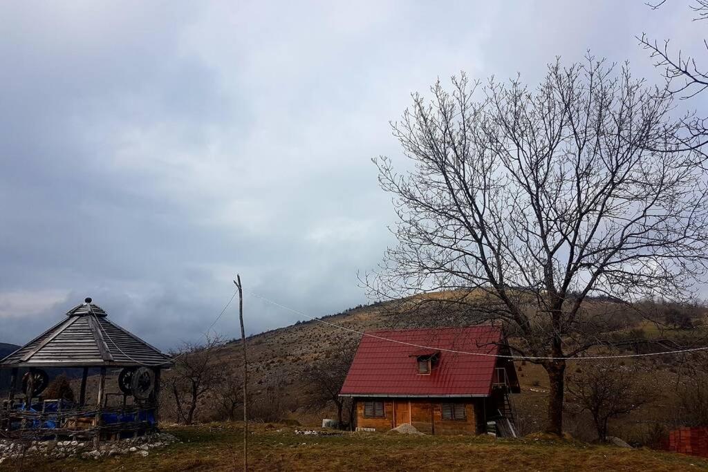 Log Cabin Uvac Нова-Варош Екстер'єр фото