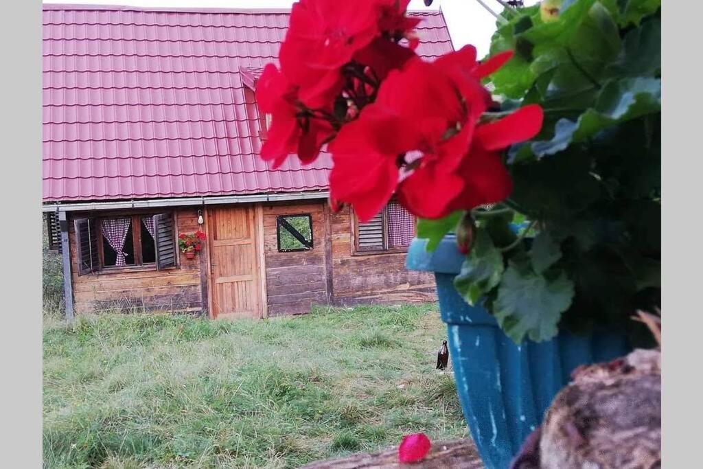 Log Cabin Uvac Нова-Варош Екстер'єр фото