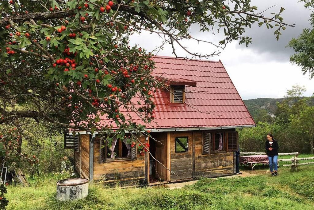 Log Cabin Uvac Нова-Варош Екстер'єр фото